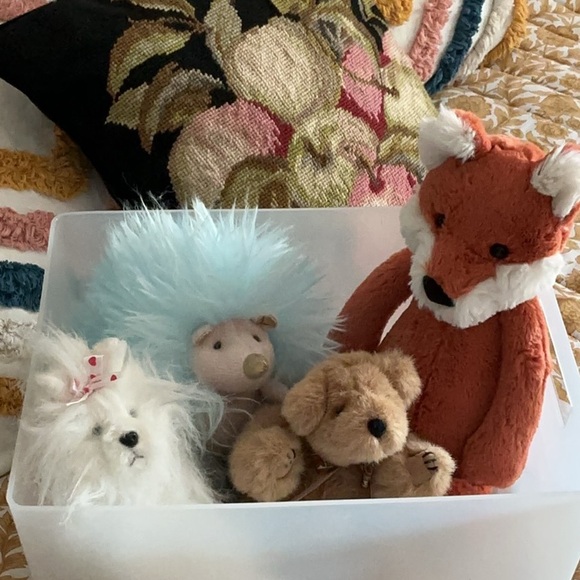 Welcome! - Picture 6 of 7